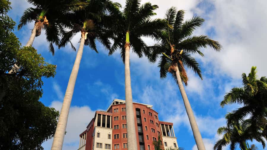 Cultural Delights & Heritage Treasures in the City - Central Market and the taste of Mauritius