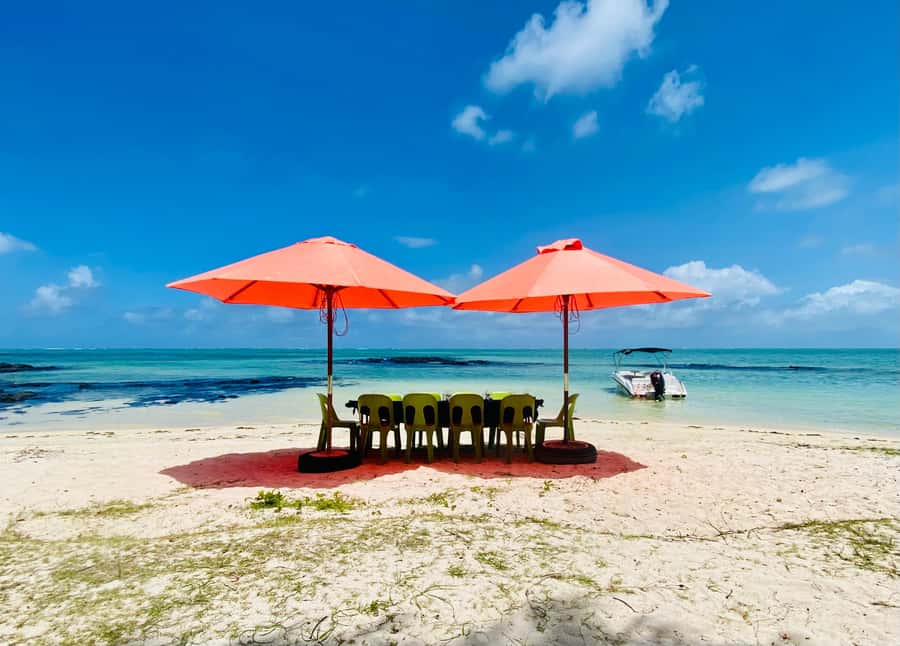 Day Trip at Ile aux Cerfs and other Gems of the South. - What the small group promise means
