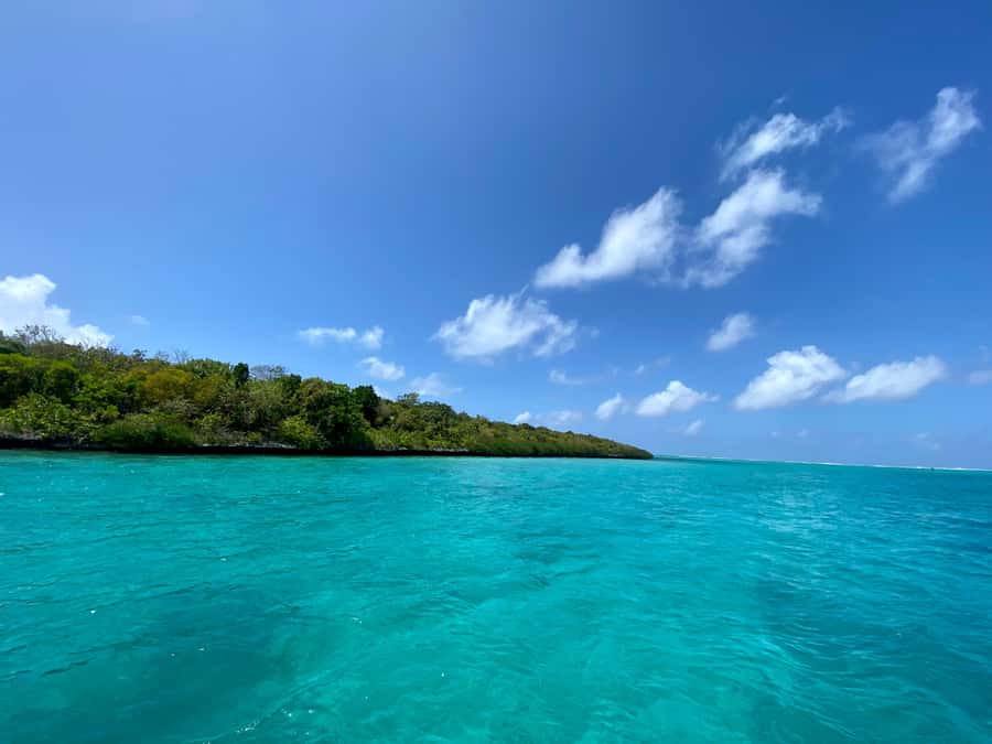 Day Trip at Ile aux Cerfs and other Gems of the South. - Starting at Chantauvent Guesthouse in Blue Bay