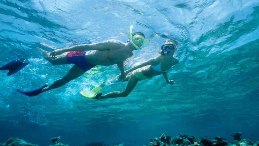 Discover Mauritius: Dolphin Watch, Snorkeling, BBQ Lunch - What this Mauritius day trip is really like