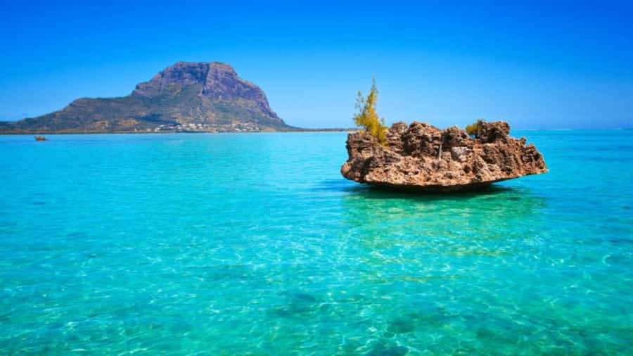Discover Mauritius: Dolphin Watch, Snorkeling, BBQ Lunch - Dolphin watching near Mauritius