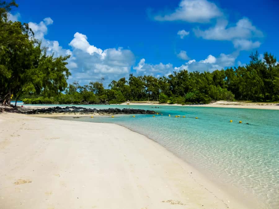 Discover Mauritius Full Day with Your Personal Driver-Guide - Key points to know before booking