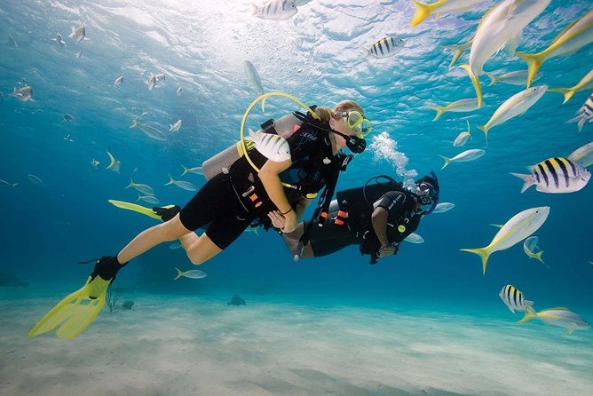 Discover Scuba Diving Experience - Starting at Blue Bay and Mahebourg