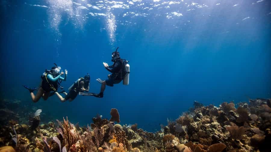 DISCOVER SCUBA DIVING IN LEMORNE with EasydiveMauritius - Starting at Lux Le Morne