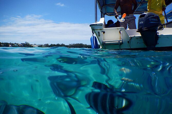 Discover the East of Mauritius: Full-day All-inclusive tour (Visit to 3 parks) - Rum Production at St-Aubin
