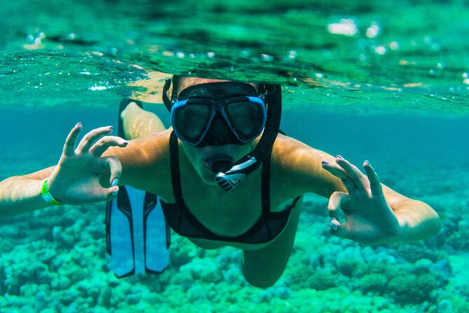 Discover the East of Mauritius: Full-day All-inclusive tour (Visit to 3 parks) - Blue Bay Marine Park by Glass-Bottom Boat