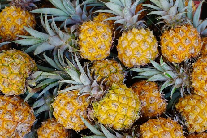 Discover the East of Mauritius: Full-day All-inclusive tour (Visit to 3 parks) - Mahebourg Market and Everyday Island Life