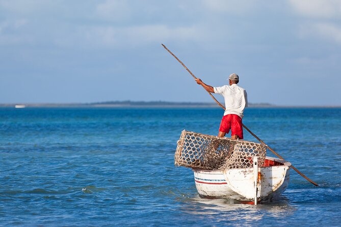 Discover the East of Mauritius: Full-day All-inclusive tour (Visit to 3 parks) - Starting with Tea at Bois Cheri