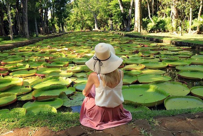 Discovering the North of Mauritius: Full-day incl Botanical garden & lunch - Aapravasi Ghat and the human story of Mauritius