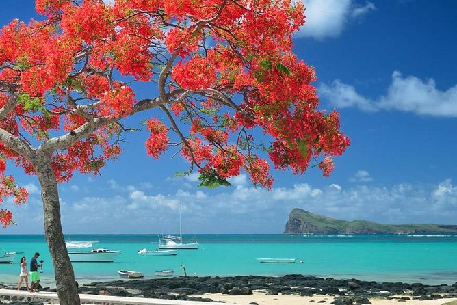 Discovering the North of Mauritius: Full-day incl Botanical garden & lunch - Cap Malheureux and its famous red roof