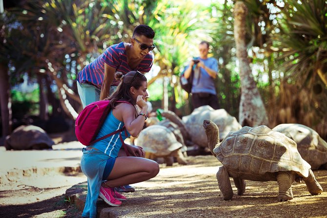 Discovery Tour 35km - Lunch and wildlife at La Vanille Nature Park