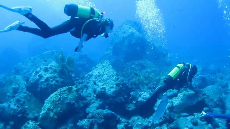 Diving in the North with Blue World Adventures - Key points to know before booking