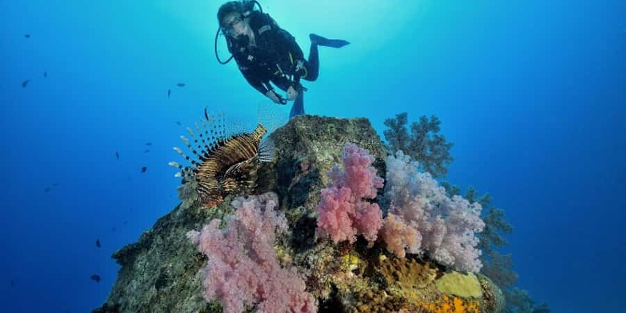 Diving in the North with Blue World Adventures - Why this northern Mauritius session works for beginners