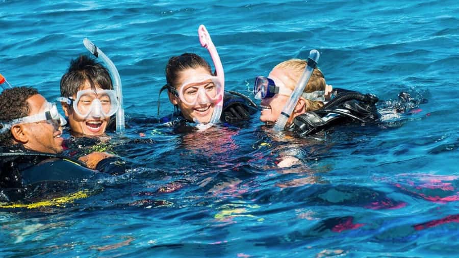Diving in the North with Blue World Adventures - The shallow-water lesson comes first