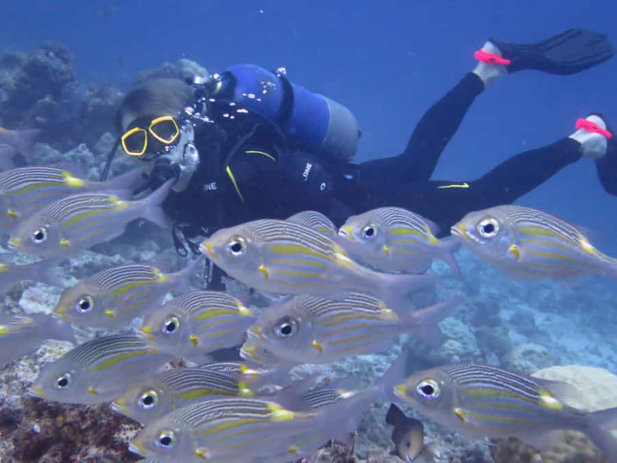 Diving in the North with Blue World Adventures - Practical safety and comfort advice