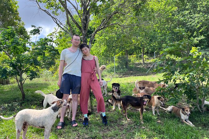Dog Lover's guided tour of the Happy Tails Sanctuary - Arriving at noon in Baie du Cap