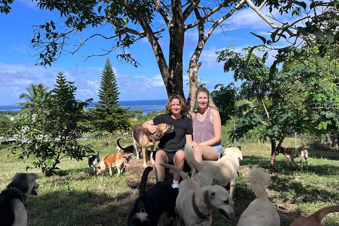 Dog Lover's guided tour of the Happy Tails Sanctuary - Meeting the 130 rescued dogs