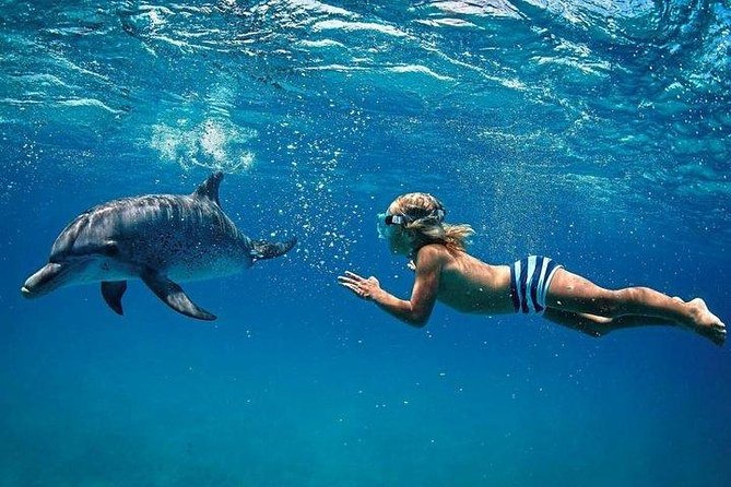 Dolphin Encounters, Ile aux Benitier & Crystal rock: Full-Day (Lunch & Transfer) - A full day on Mauritius’s southwest coast
