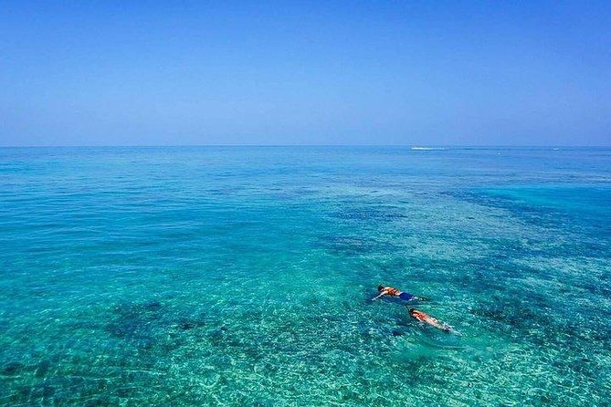 Dolphin Encounters, Ile aux Benitier & Crystal rock: Full-Day (Lunch & Transfer) - What the $111.96 price really covers