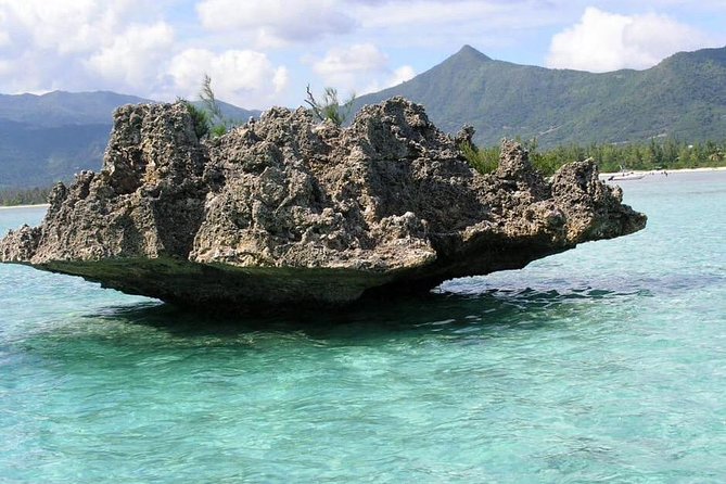 Dolphin Experience in Open Sea and South West Tour of Mauritius including Lunch - Two Hours With Dolphins and a Coral Reef