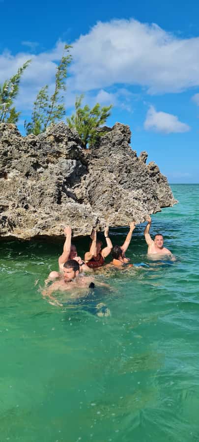 Dolphins: Private, Snorkel, CrystalRock, ileoBenitiers,lunch - Why this private Mauritius boat day works