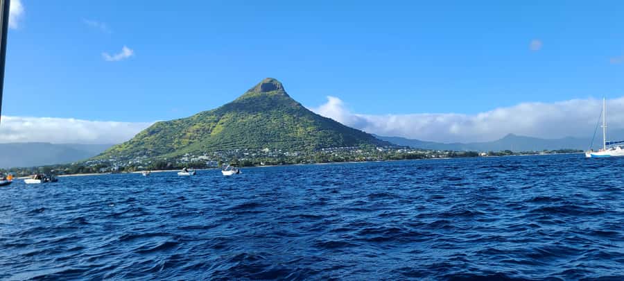 Dolphins & Whales, Private Tour Snorkeling - Booking flexibility and useful checks