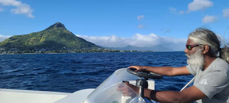 Dolphins & Whales, Private Tour Snorkeling - Crystal Rock and the natural aquarium