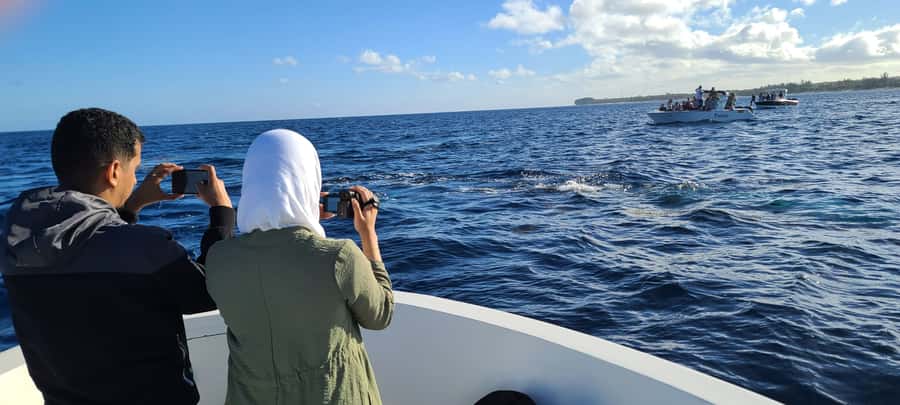 Dolphins & Whales, Private Tour Snorkeling - Who will enjoy this private Mauritius trip