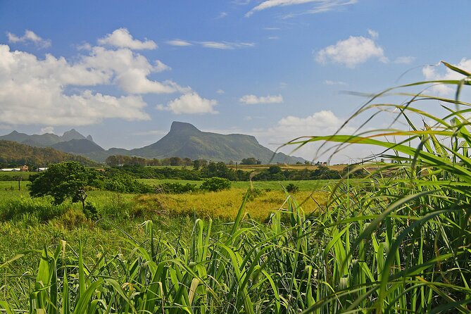 East of Mauritius: Full Day Scenic Tour with Lunch & Glass Bottom - Blue Bay glass-bottom boat: a gentle look at the lagoon