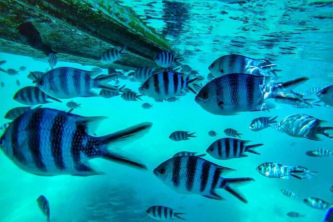 Eastern Treasures of Mauritius: incl Rhumerie St Aubin & Blue-Bay Marine Park - What this eastern Mauritius day is really about