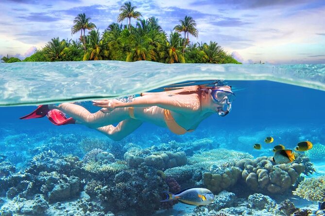 Eastern Treasures of Mauritius: incl Rhumerie St Aubin & Blue-Bay Marine Park - Pointe Canon and the final view