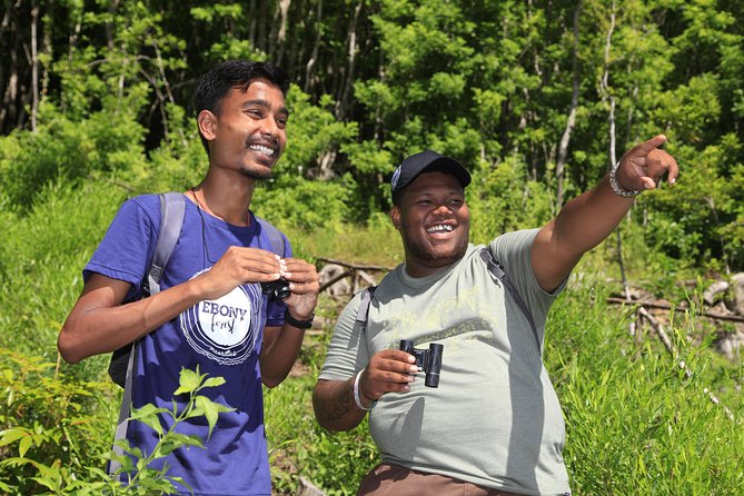 Ebony Forest Reserve Chamarel: Endemic Birdwatching Guided Tour - Using binoculars on the forest paths