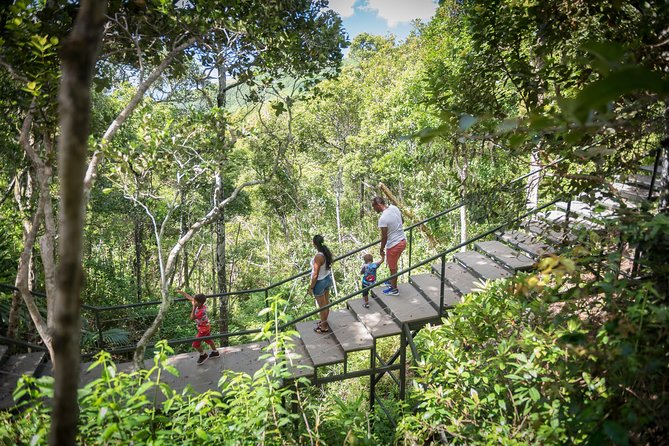 Ebony Forest Reserve Chamarel: Sublime Sundowner - Is $96.21 per person good value?