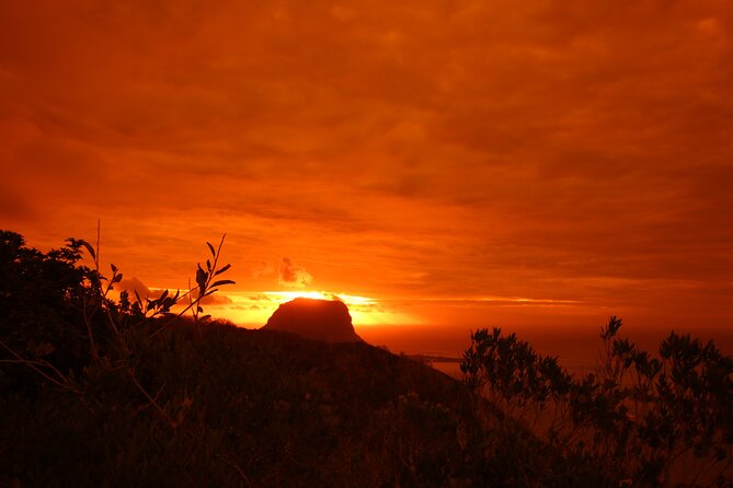 Ebony Forest Reserve Chamarel: Sublime Sundowner - The 300-meter walkway through ebony forest