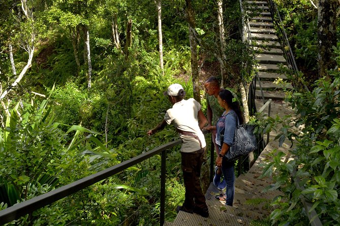 Ebony Forest Reserve Chamarel - Take a Hike Tour - Safari jeep rides add ease, but availability matters
