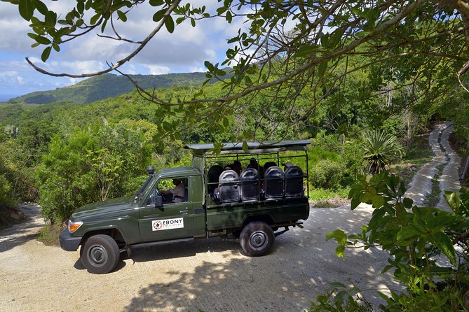 Ebony Forest Reserve Chamarel - Take a Hike Tour - Wildlife requires patience, not a guaranteed checklist