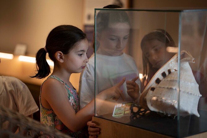 Entrance Ticket to World of Seashells museum - The science behind the shapes