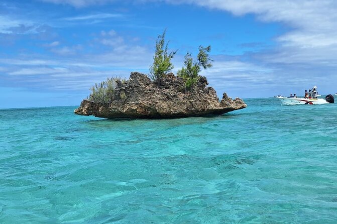 Exciting Dolphin encounters in the Maurtius's lagoon - Weather, postponements, and the real-world limits