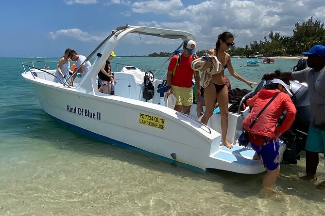 Exciting Dolphin encounters in the Maurtius's lagoon - Who will enjoy this experience most