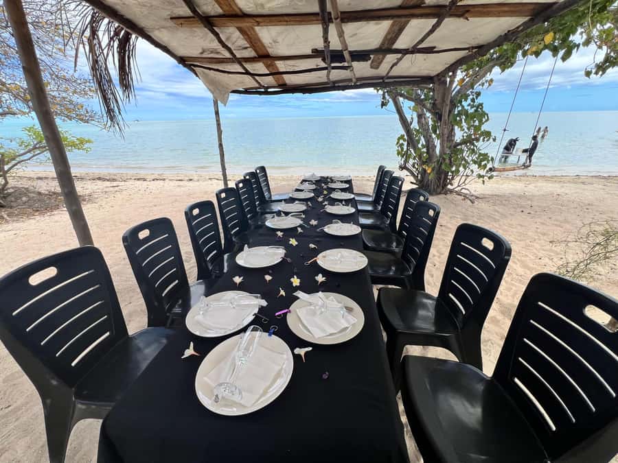Exclusive:full-day/Dolphins watch& swimming Crystal Rock+Bbq - Watching dolphins in their natural setting