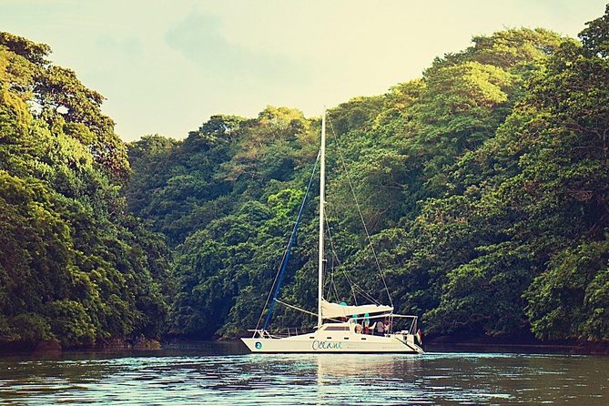 Exclusive Private Catamaran Adventure: Ile aux Cerf (Full Day Cruise incl Lunch) - Barbecue Lunch and the Open Bar