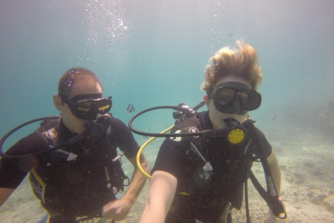 Exploration dives - What the $65 price really covers