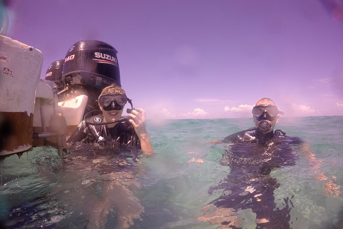 Exploration dives - What you see below the surface