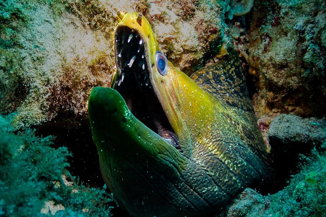 Exploration dives for experienced divers - What makes the small group worthwhile