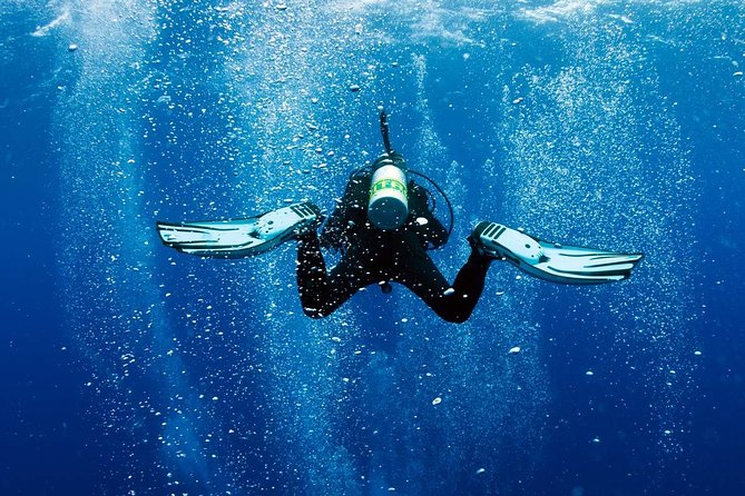 Exploration dives - From hotel pickup to the boat