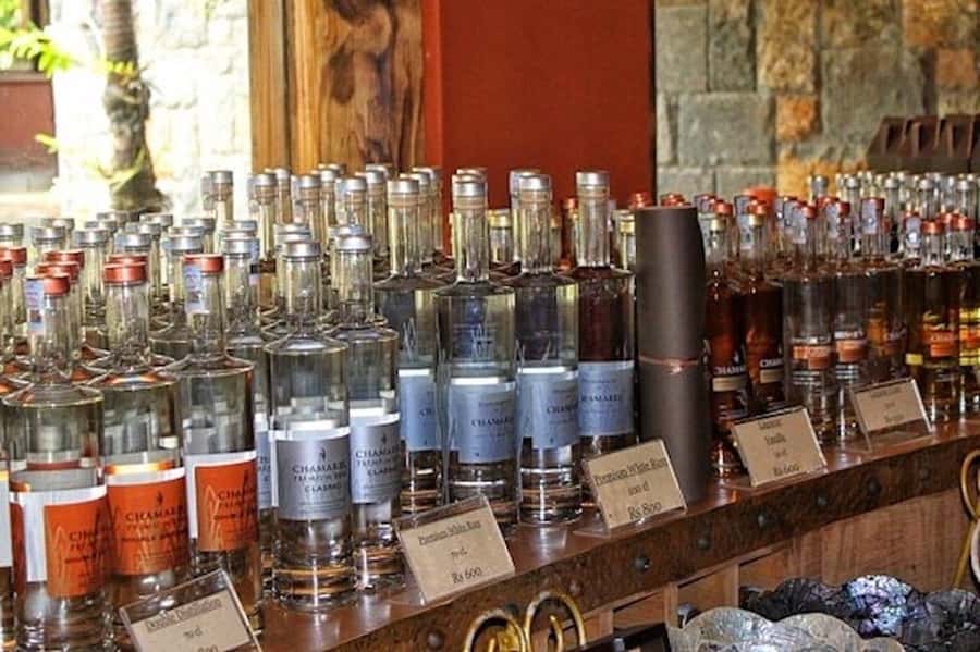 Explore the Southwest with Local Lunch & Rum Tasting - Grand Bassin and the Hindu heart of Mauritius
