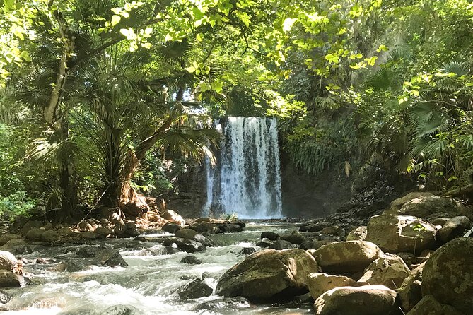 Explore The Wild South - La Roche Qui Pleure and the south coast rocks