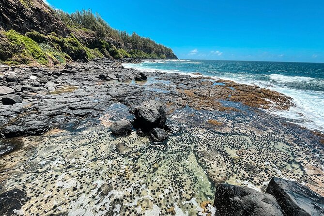 Explore The Wild South - Waterfalls, natural basins, and time in the water