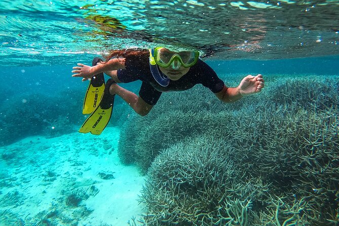 Exploring the Magnificent East of Mauritius: Full-day incl Blue Bay Marine Park - Key points to know before booking