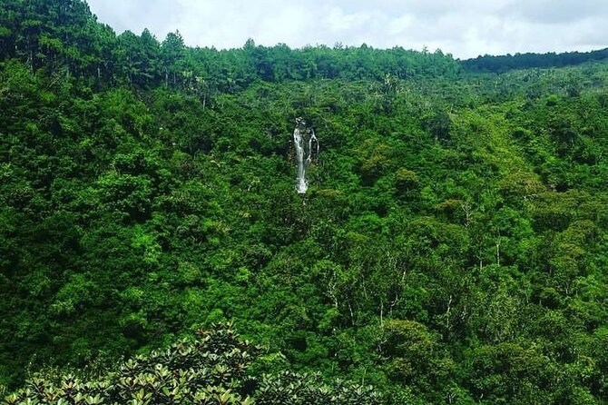 Fascinating Nature Tour Incl Ebony Forest, 7 Coloured Earth,Lunch - A full day through Mauritius’s volcanic south
